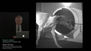 DOGS IN MOTION Prof Dr Martin S Fischer KYON Symposium 2017 [upl. by Esteban]