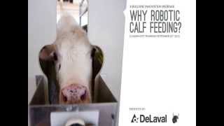 Why Robotic Calf Feeding  DeLaval Webinar  September 10th 2015 [upl. by Serra]