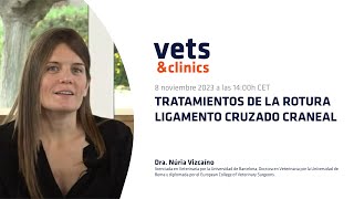 67 Tratamientos de la rotura del ligamento cruzado craneal [upl. by Bailie]