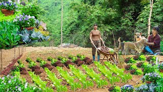 Build a Bushcraft Garden by the Stream and Harvest ginger taro papaya and cook  Ana Bushcraft [upl. by Kinimod]