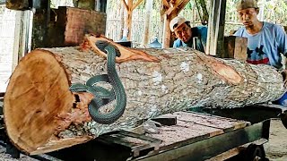 amazing discovery of old mahogany log full of dense fibers at sawmill [upl. by Nelleus653]