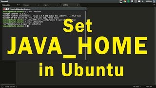 How to set JAVAPATH amp JAVAHOME in Ubuntu or Linux [upl. by Ellainad]