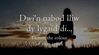 Dy Lygaid Di  Gwyneth Glyn geiriau  lyrics [upl. by Arjun]