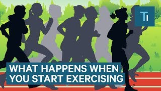 What Happens To Your Body When You Start Exercising Regularly  The Human Body [upl. by Beaufert50]