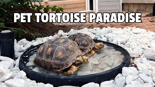 Sulcata Tortoise Enclosure [upl. by Notsek124]