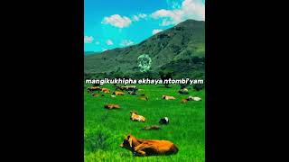 Zimbali  Tee Jay amapiano southafricanmusic [upl. by Sanderson]