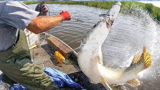 Catching MONSTER Fish on Jug Lines [upl. by Bette]