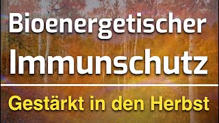 Harmonisierung des Immunsystems amp bioenergetische Erkältungsabwehr für den Herbst 🍁 [upl. by Nakada]