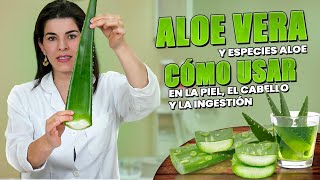 ALOE in en Rostro Cabello y Consumo  Beneficios y Recetas Caseras de Cómo Usar ALOE VERA BABOSA [upl. by Dianemarie457]