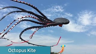 Cool kites Youve never seen before with footage  UTTRAYAN Special by ITOPINGS [upl. by Abdul]