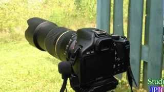 Tamron SP 70300mm Di f456 VC USD  AFVC noise and AF speed test [upl. by Dominik]