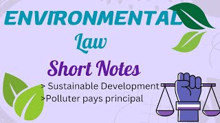 Sustainable development  Polluter pays principal  Environmental Law [upl. by Lartnom]