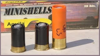 20 year old Aguila MINISHELL Tiny Shotgun Slugs  Ballistic Testing [upl. by Artekal]