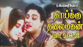 தாய்க்குத் தலைமகன் பாடல்கள் கலரில் Thaikku Thalaimagan Full Movie Songs Color mgrsongs [upl. by Briant79]