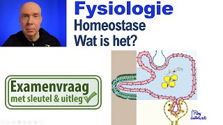 Wat is homeostase Fysiologie [upl. by Dorella]