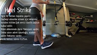 KOŞUDA BASMA FAZI VE KOŞU TEKNİKLERİ HEEL STRIKE amp MID FOOT [upl. by Nyrmak400]