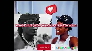 KWAME NUT FT SHATTA WALE WOA WASEM [upl. by Atteynek367]