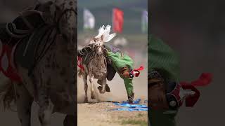 mongolia sports rodeo ncha [upl. by Annoeik]