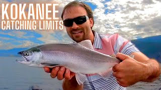 Kalamalka and Wood Lake Kokanee Fishing Tips for Catching Limits [upl. by Hoban]