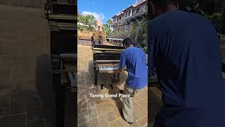 Tuning grand piano grandpiano music musica [upl. by Lougheed234]