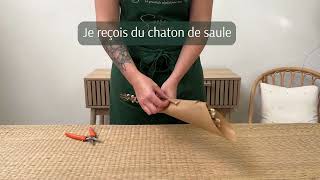 Je reçois du chaton de saule [upl. by Ydnar]