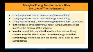 BIOENERGETICS AND METABOLISM [upl. by Adnerad656]