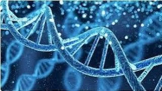 NUCLEOTIDE METABOLISM PART 2 [upl. by Ayahs]