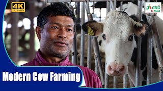 अत्याधुनिक प्रबिधि सहित करोडौ लगानीमा गाई पालन  Cow Farm in Nepal Kathmandu  Agro Tv Nepal [upl. by Bethany]