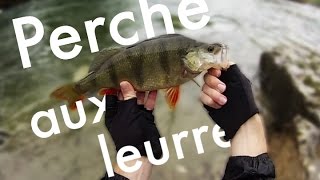 Pêche de la perche aux leurres sur lHérault en quotdécruequot [upl. by Salvucci]