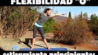 Estiramientos para principiantes  flexibilidad quot0quot [upl. by Enitsrik]