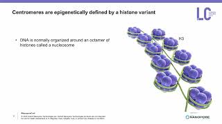 Telomeretotelomere genome assembly reveals genomic and epigenetic features of karyotype radiation [upl. by Silvano]