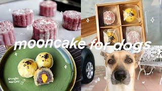 doggo mooncake 🥮  making amp packing shanghai  sweet potato mooncake  ginger vlog [upl. by Hpejsoj]