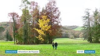 À la découverte de larboretum de Payssas à Lasseube en Béarn [upl. by Enenaj]