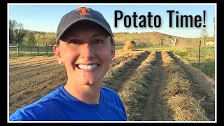 Potato Time in Tennessee [upl. by Adnoma]