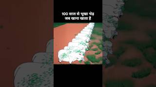 100 साल से भूखा भेड़ जब खाना खाता है 😂। Funny cartoon funny explanation memes [upl. by Naired]