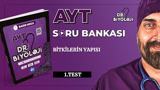 AYT Biyoloji Soru Bankası  Bitkilerin Yapısı 1 Test  DrBiyoloji  2025tayfa [upl. by Ingamar]