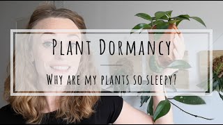 Plant dormancy do houseplants go dormant [upl. by Belloir]