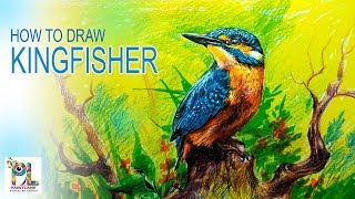 How To Draw A Kingfisher With Color Pencils And Markers by Paintlane [upl. by Xerxes]