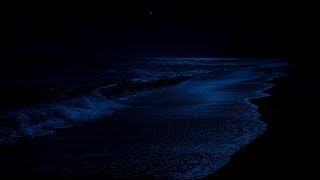 Calming Ocean Waves for Deep Sleep  Dark Screen with Rolling Waves on Beach to Sleep and Chill [upl. by Perseus]