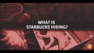 We Are All Animals Demystifying Starbucks Humane Washing [upl. by Godliman130]