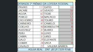 ESTATISTICAS DO GRUPOS DO 1°2°3°4° 5° PREMIO DA LOTERIA FEDERAL [upl. by Aicilet]