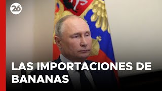 Llegó el castigo de Putin a Ecuador por quotapoyar a Ucraniaquot [upl. by Vas]