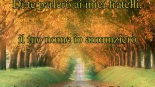 Grazie Signore  RnS [upl. by Jaclyn]