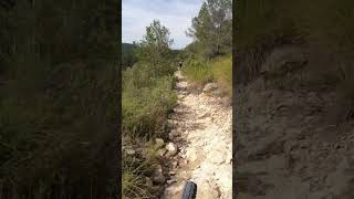 bajando con el buje roto1 😎 short mtb [upl. by Aneelad]