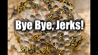 Safely and Effectively Remove Yellow Jackets From Your Property With Fipronil [upl. by Hceicjow126]