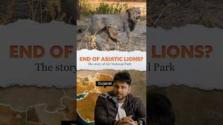 🤔Why Asiatic Lions 🦁live only in Gujarat 🤔 Gir National Park [upl. by Asehr]