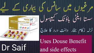 oxytetracycline capsules uses in Urdu oxytetracycline capsules benefits and side effects Dr Saif [upl. by Berne]