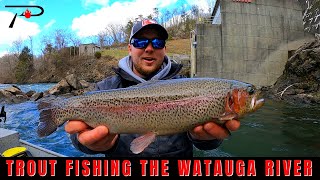 Trout Fishing the Watauga River [upl. by Nyltiac]