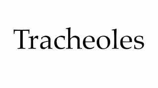 How to Pronounce Tracheoles [upl. by Oiramed]