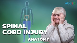 What is a Spinal Cord Injury  Complete Or Incomplete  Everything You Need To Know  Detailed [upl. by Arthur]